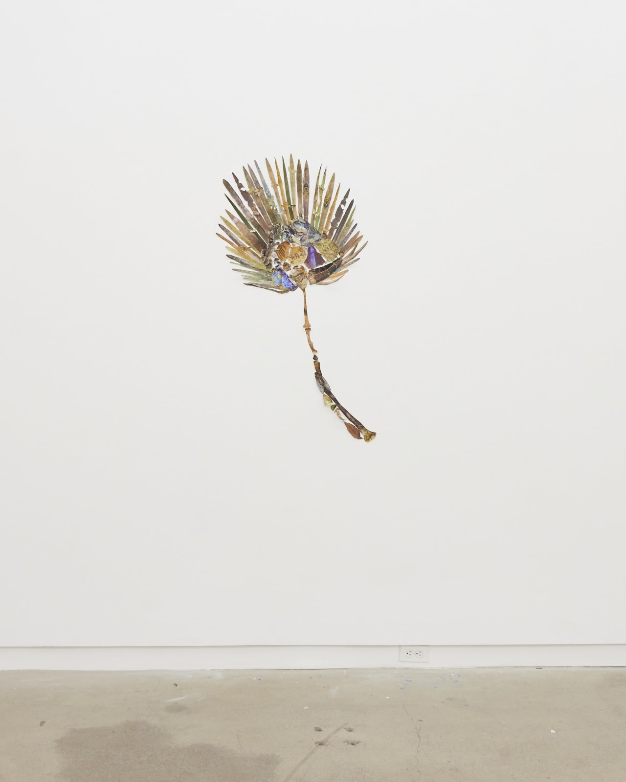 Jennifer Murphy, Palm, 2022