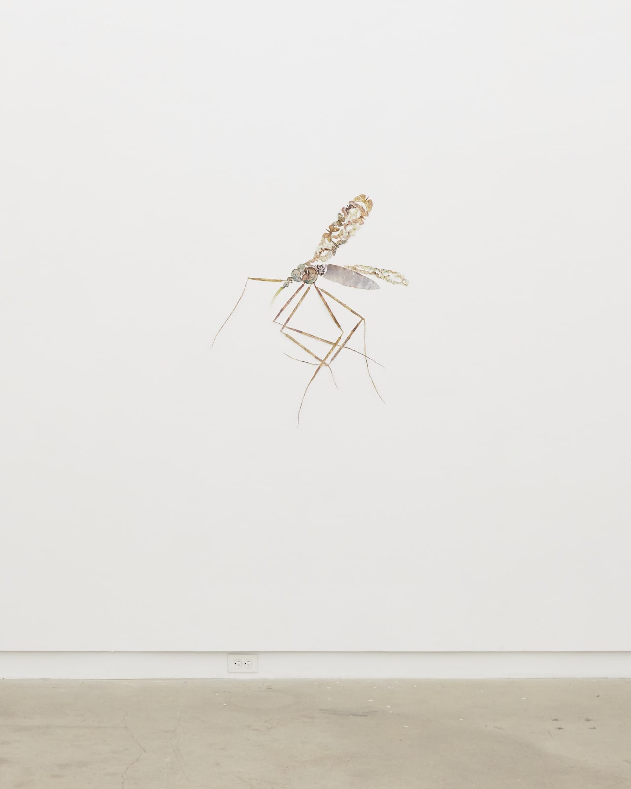 Jennifer Murphy, Crane Fly, 2022