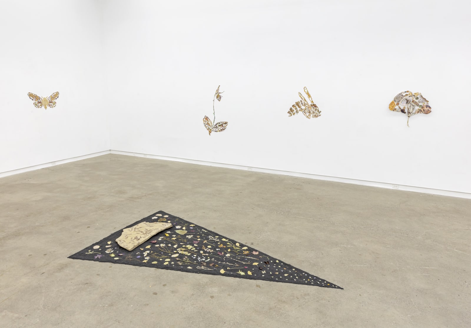 Jennifer Murphy, Lady Slipper Orchid, 2022