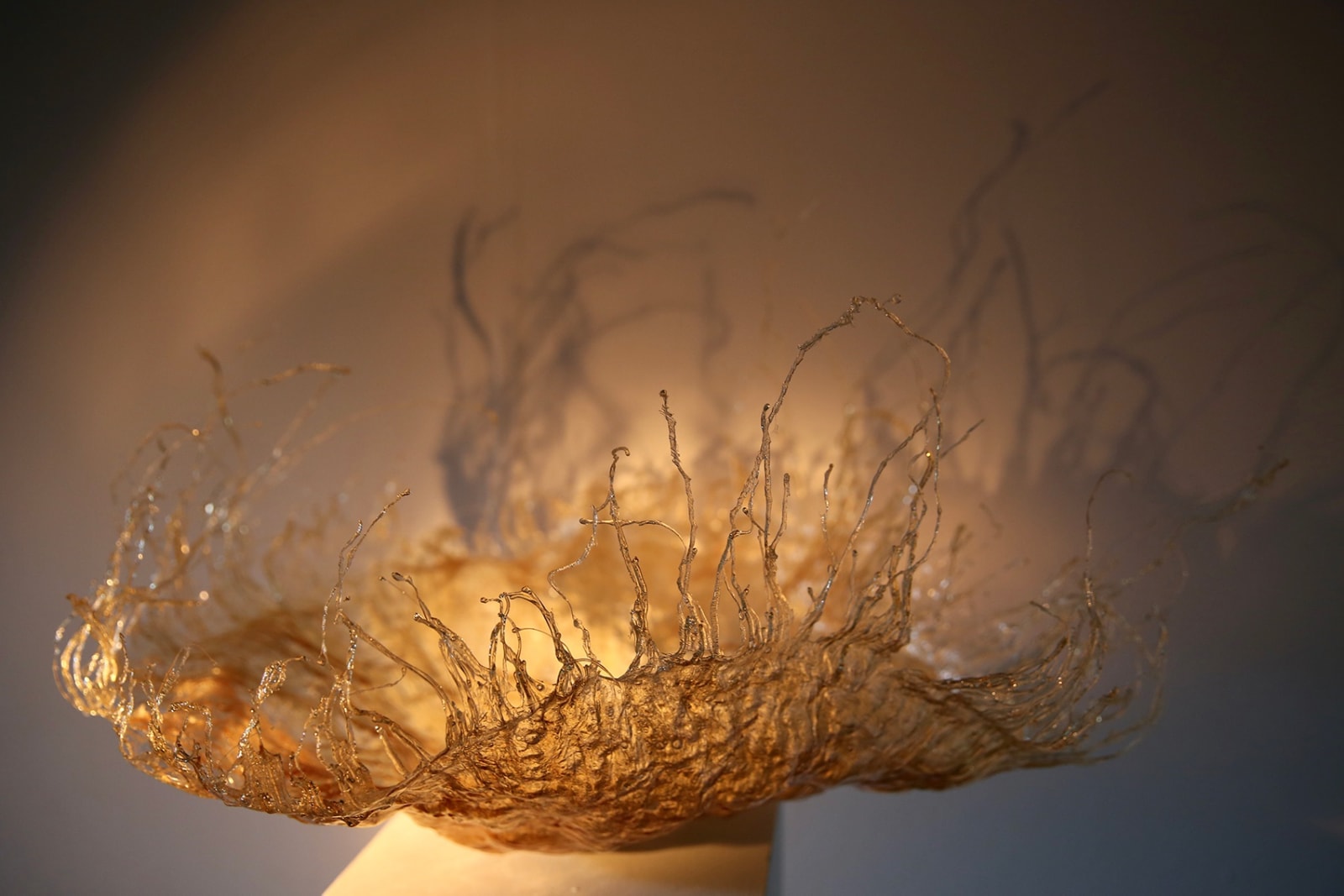 Wendy Bell, Sentient Transition, 2020