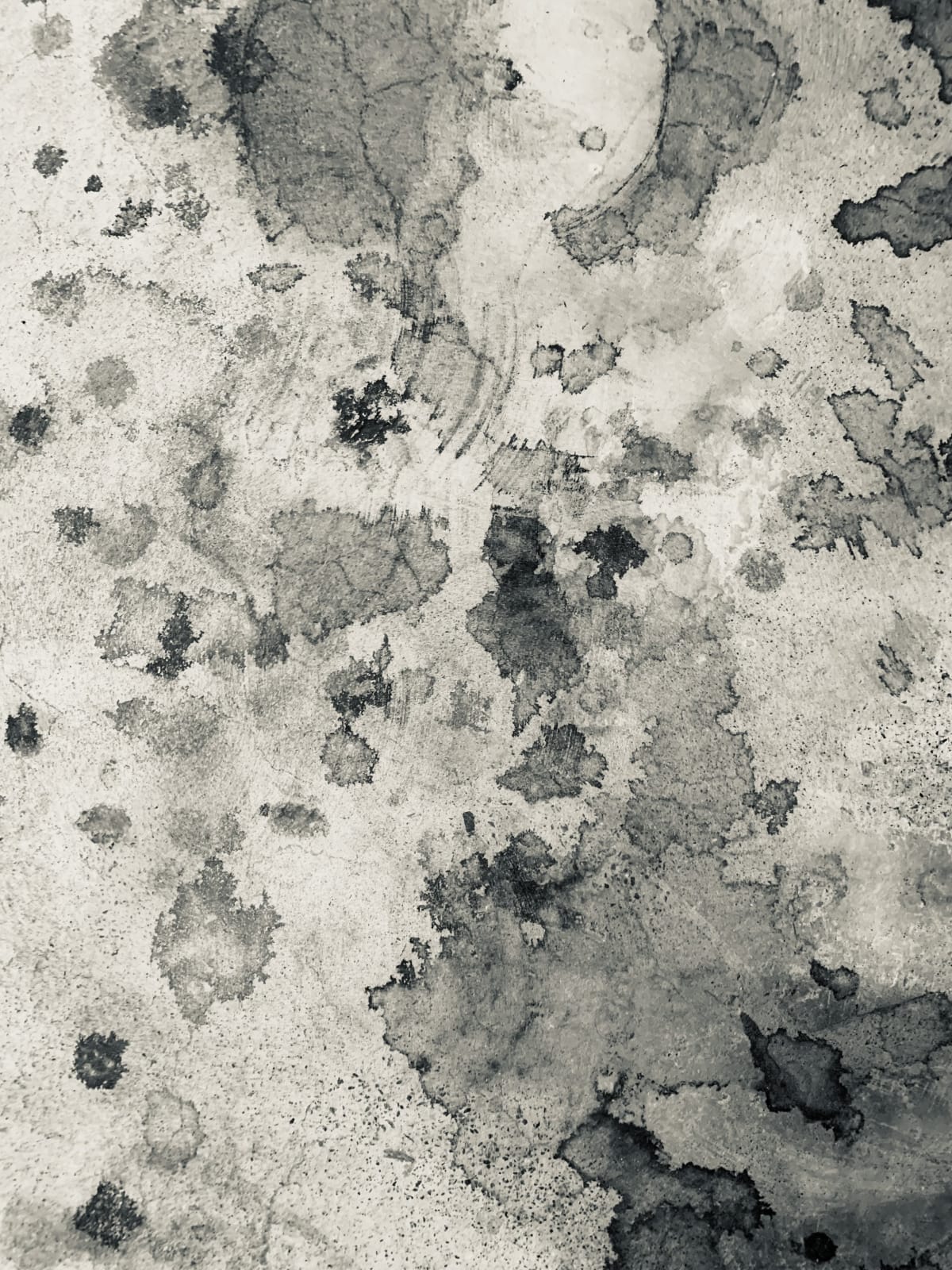 Wendy Bell, Wet marks on the pavement, 2024