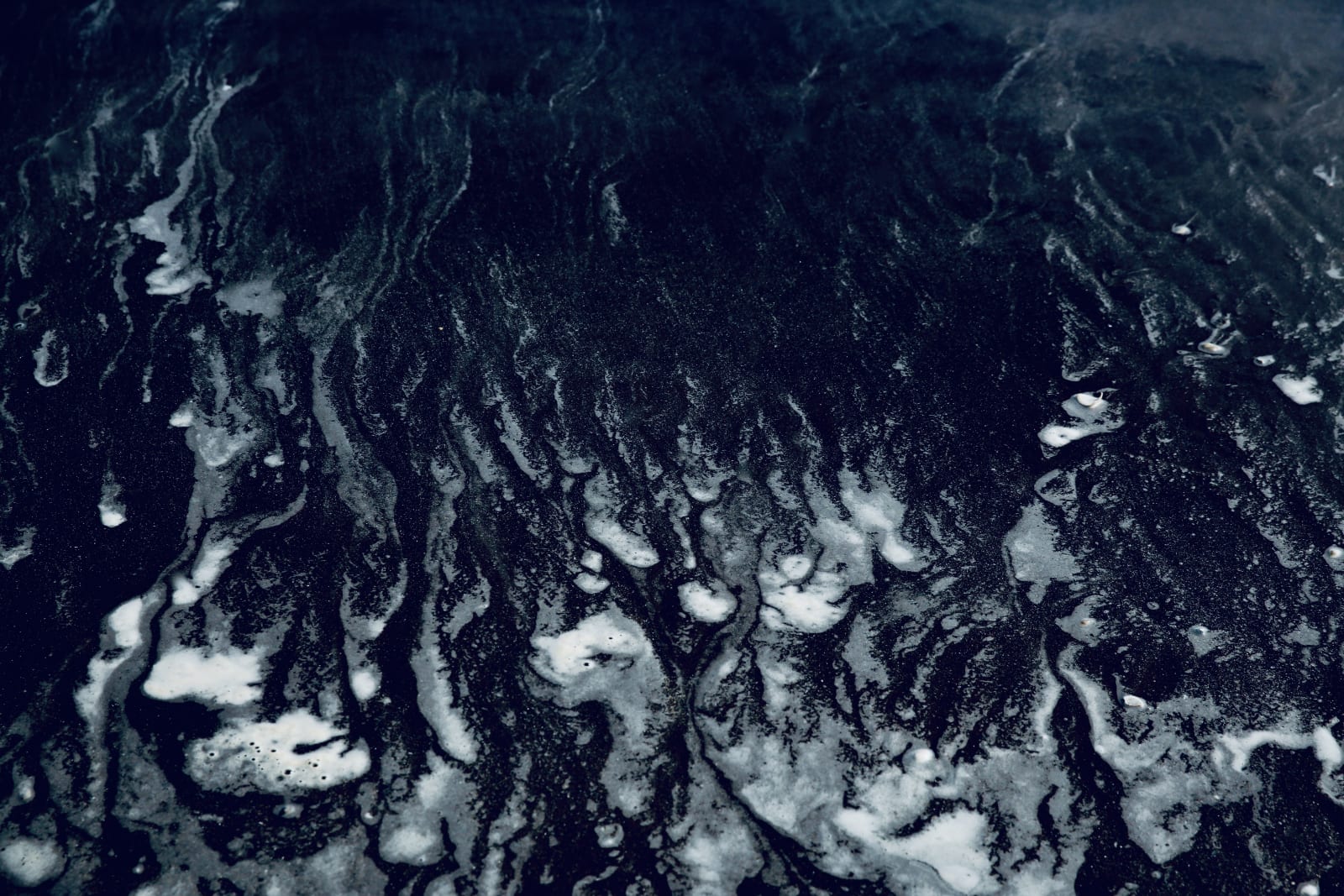 Wendy Bell, Moonlight and Water, 2020