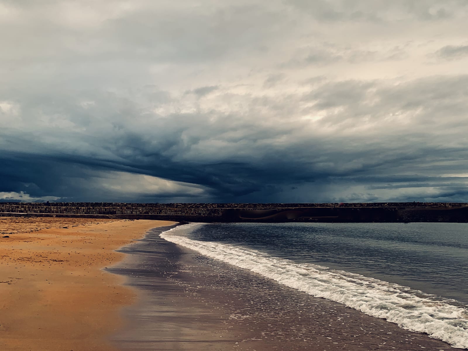 Wendy Bell, Desert Sea, 2020