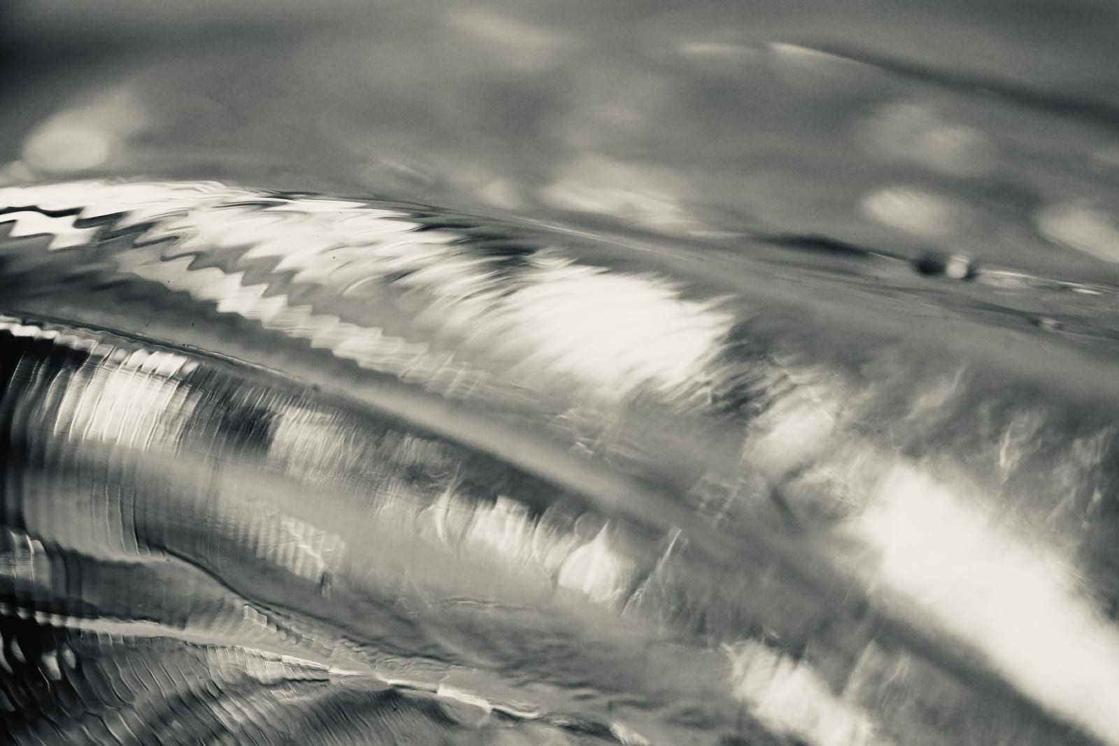 Wendy Bell, Inside Flow, 2024