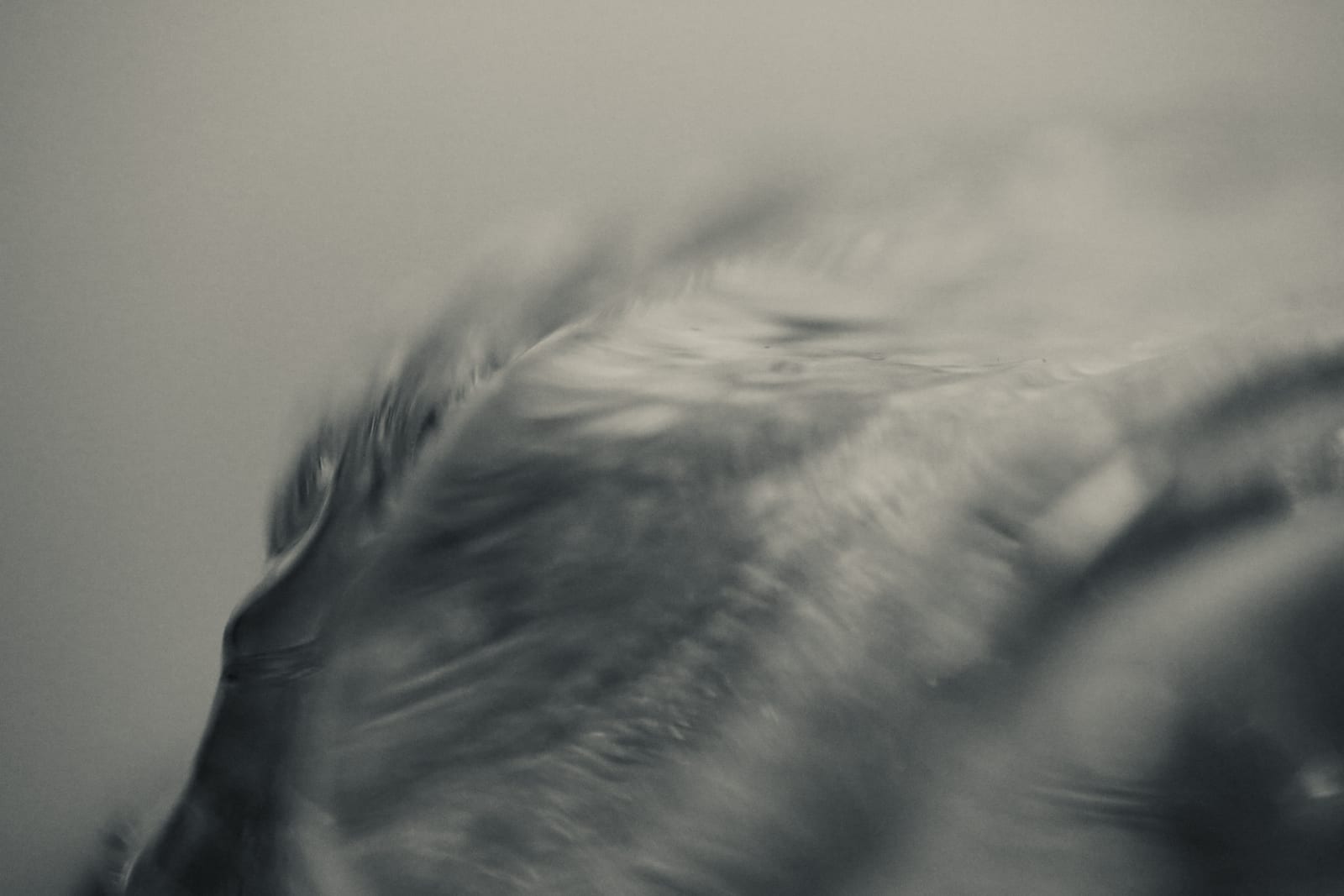 Wendy Bell, Inside Flow, 2024