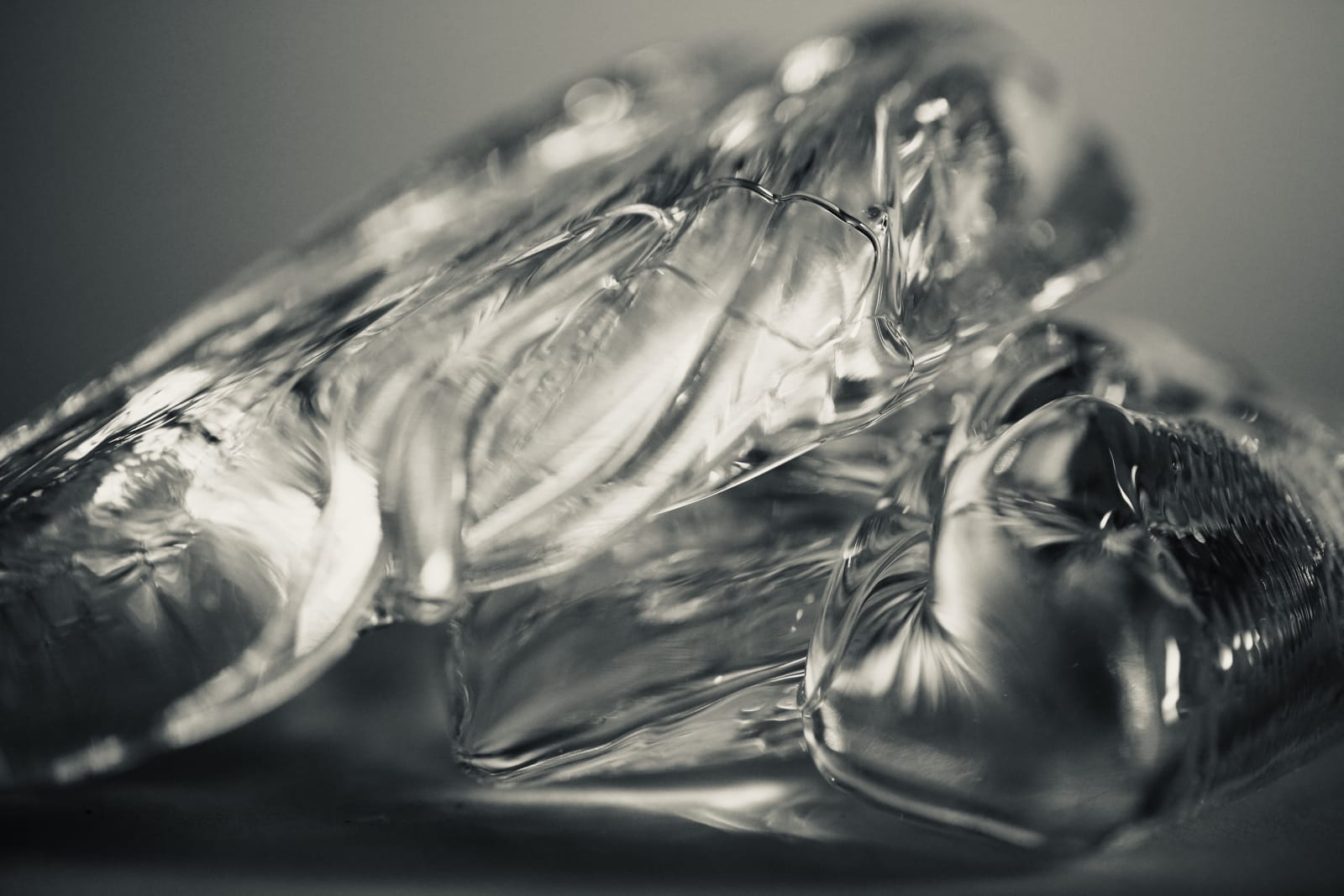 Wendy Bell, Inside Flow, 2024