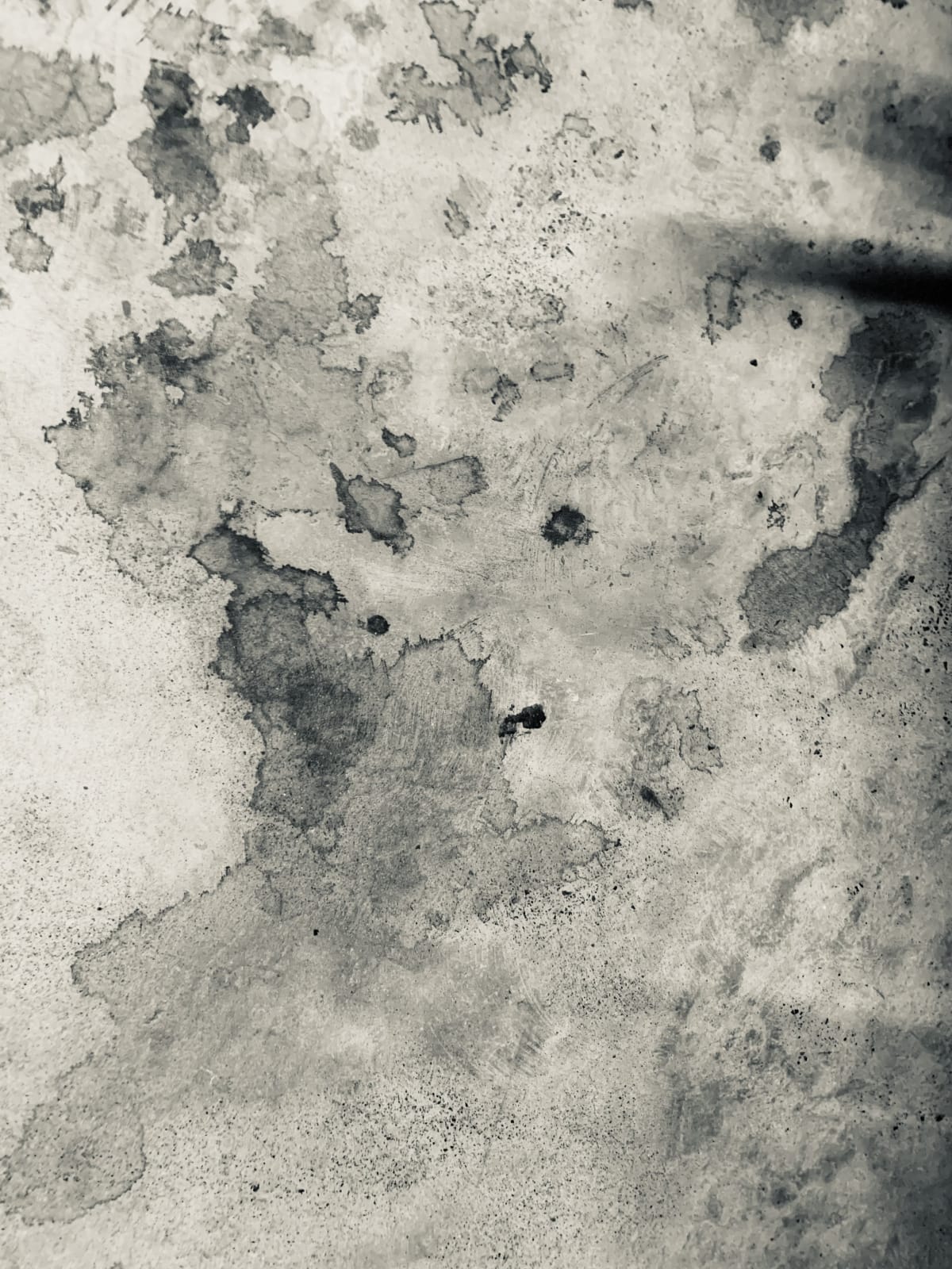 Wendy Bell, Wet marks on the pavement, 2024