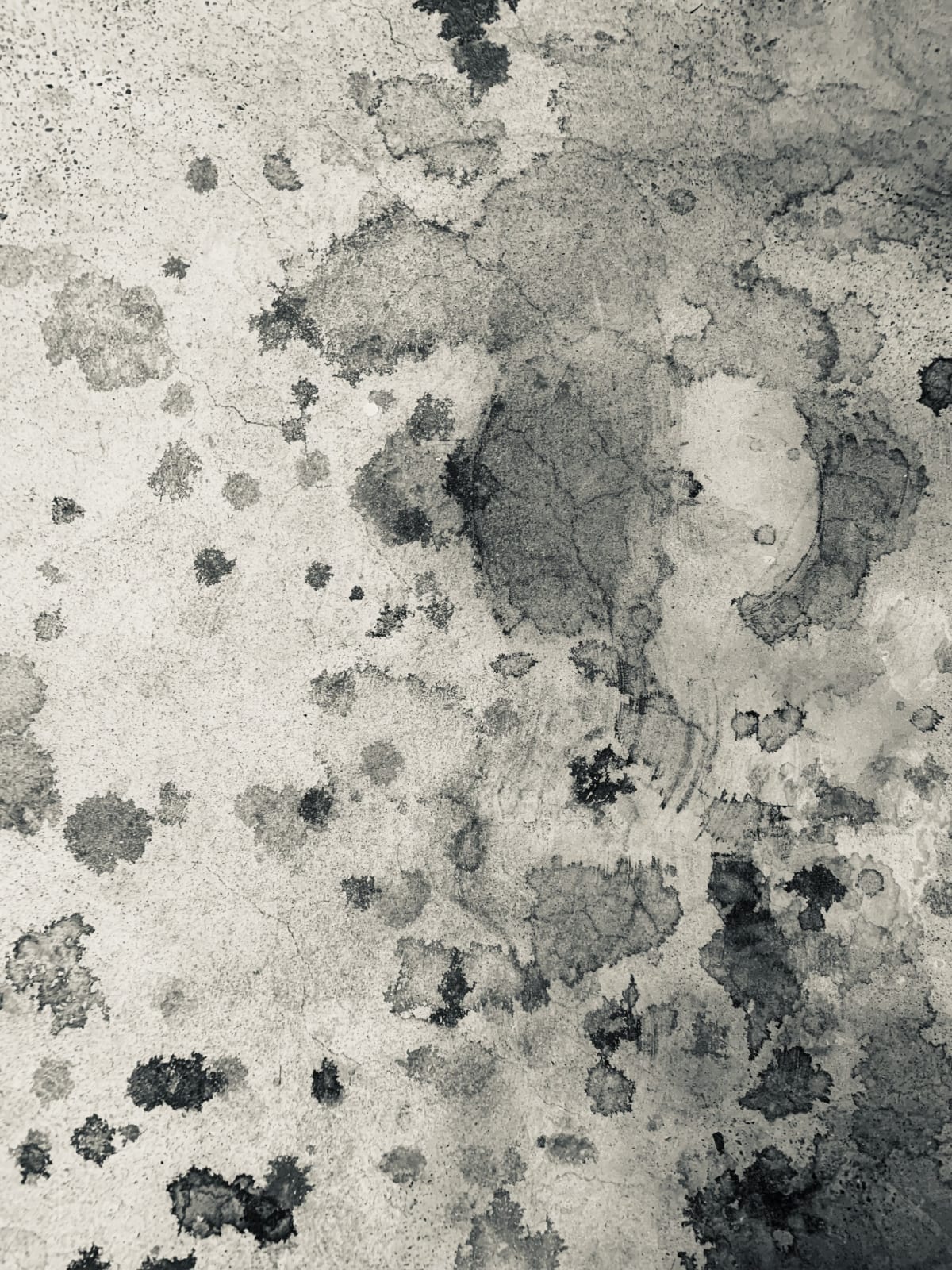 Wendy Bell, Wet marks on the pavement, 2024