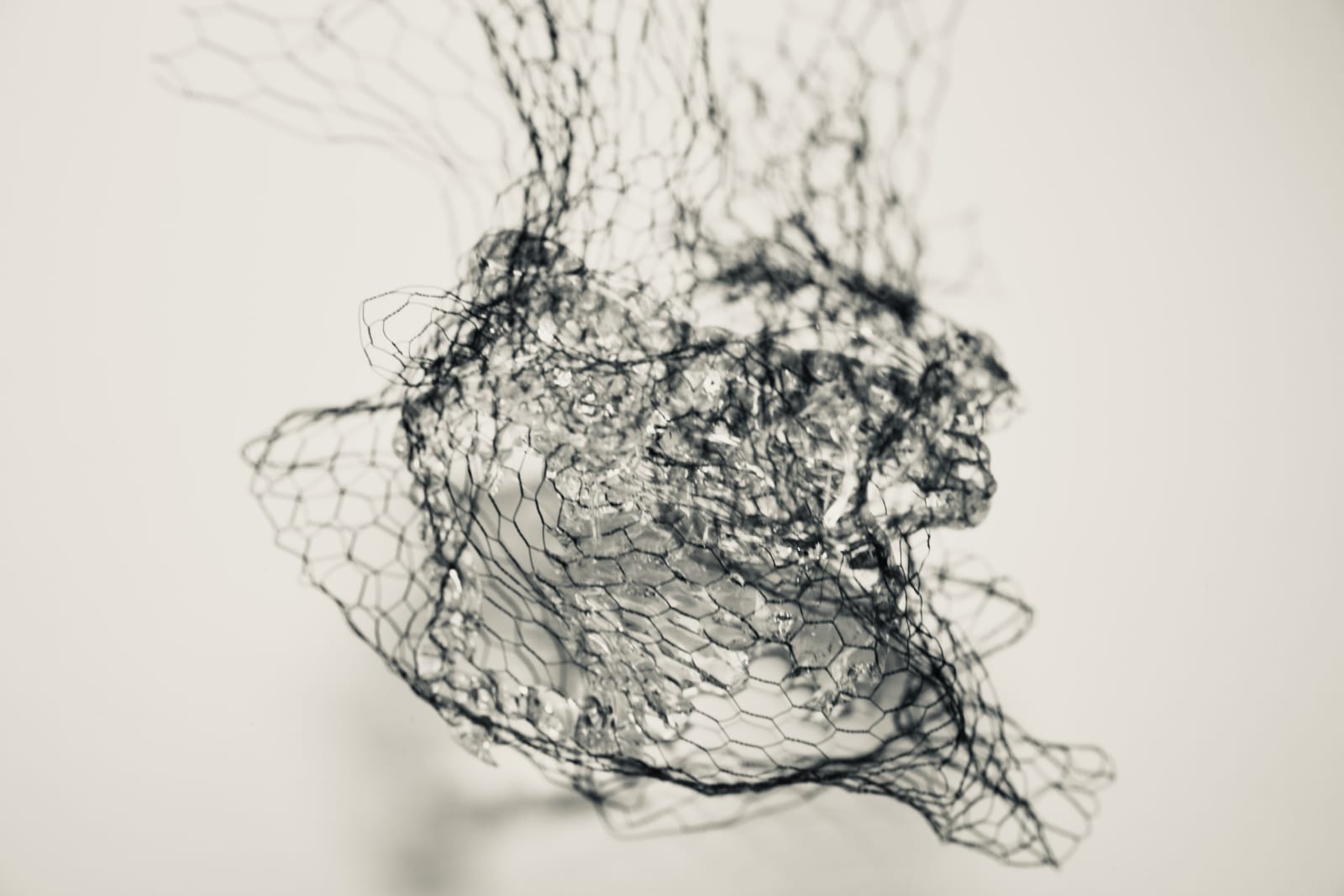 Wendy Bell, Flow entangled, 2023