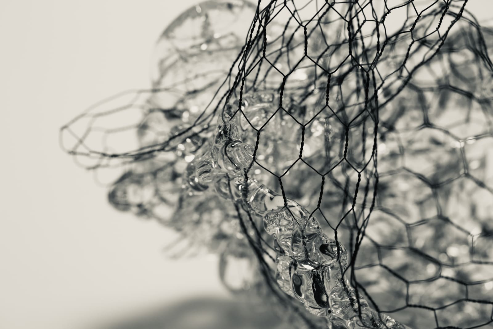 Wendy Bell, Flow entangled, 2023