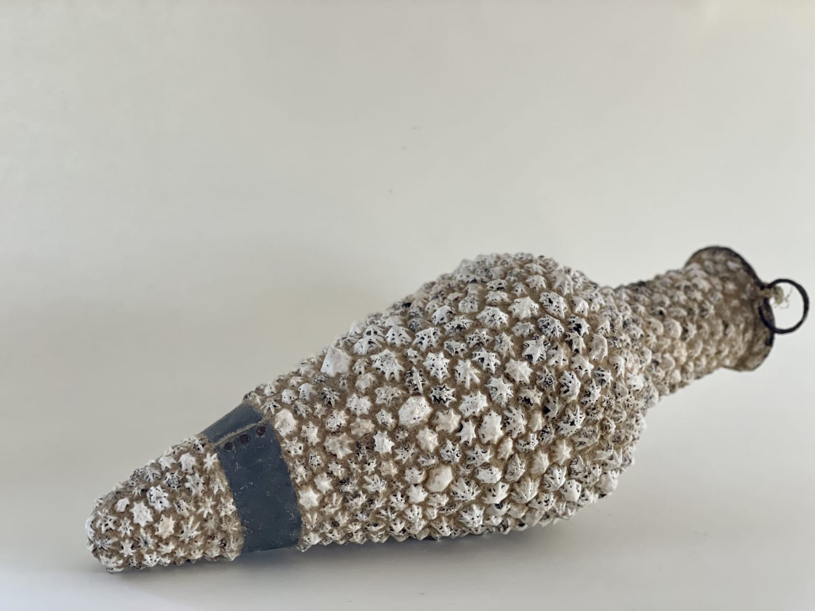 Carolyn Brookes-Davies, Limpet Amphora, 2025