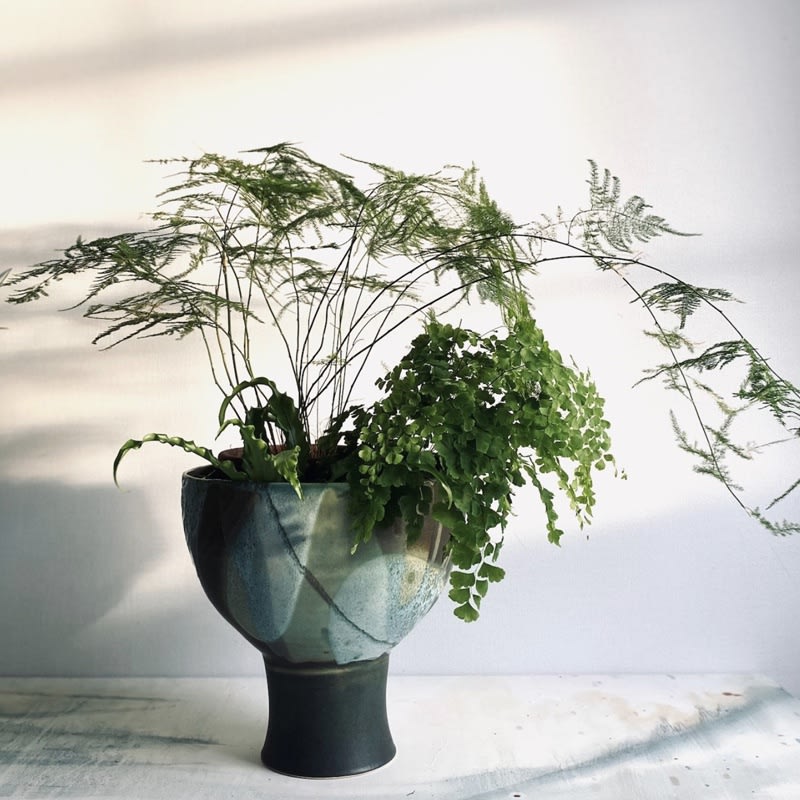 Laura Huston, Goblet Planter II, 2024