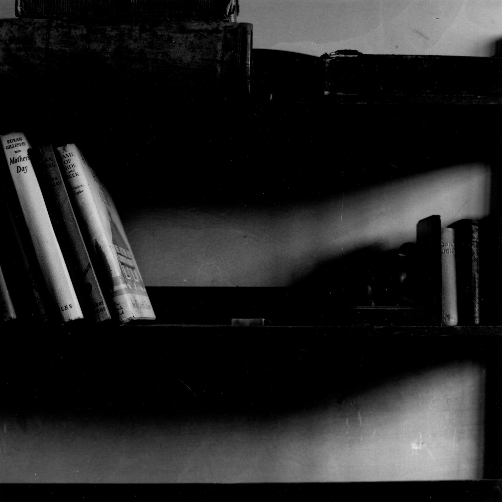 Tassie Russell, 1928 House - book case, 2022