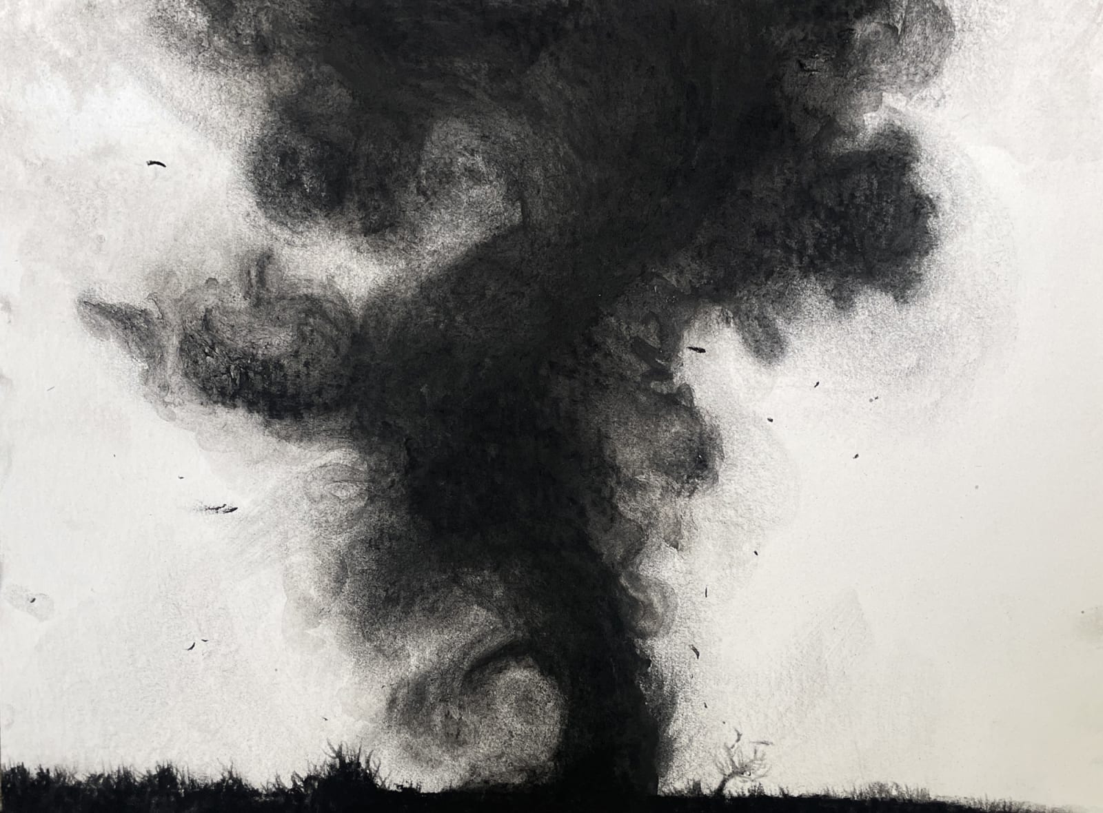 Claire Cansick, Wild is the Wind II, 2024