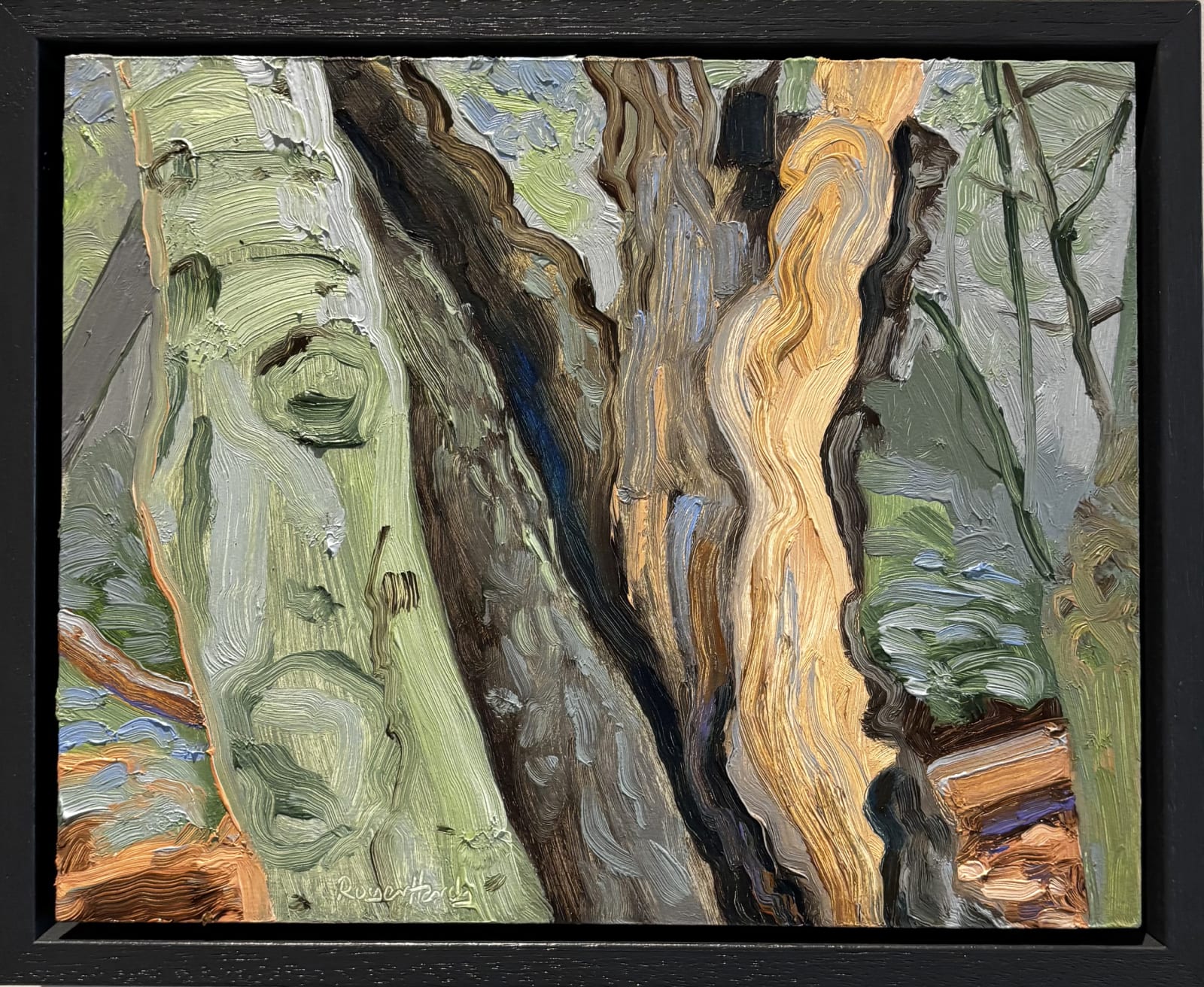 Roger Hardy, Oak and Holly, Staverton, 2025