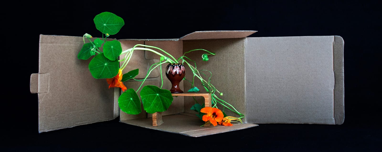 Polly Cruse, Open the Box, 2021