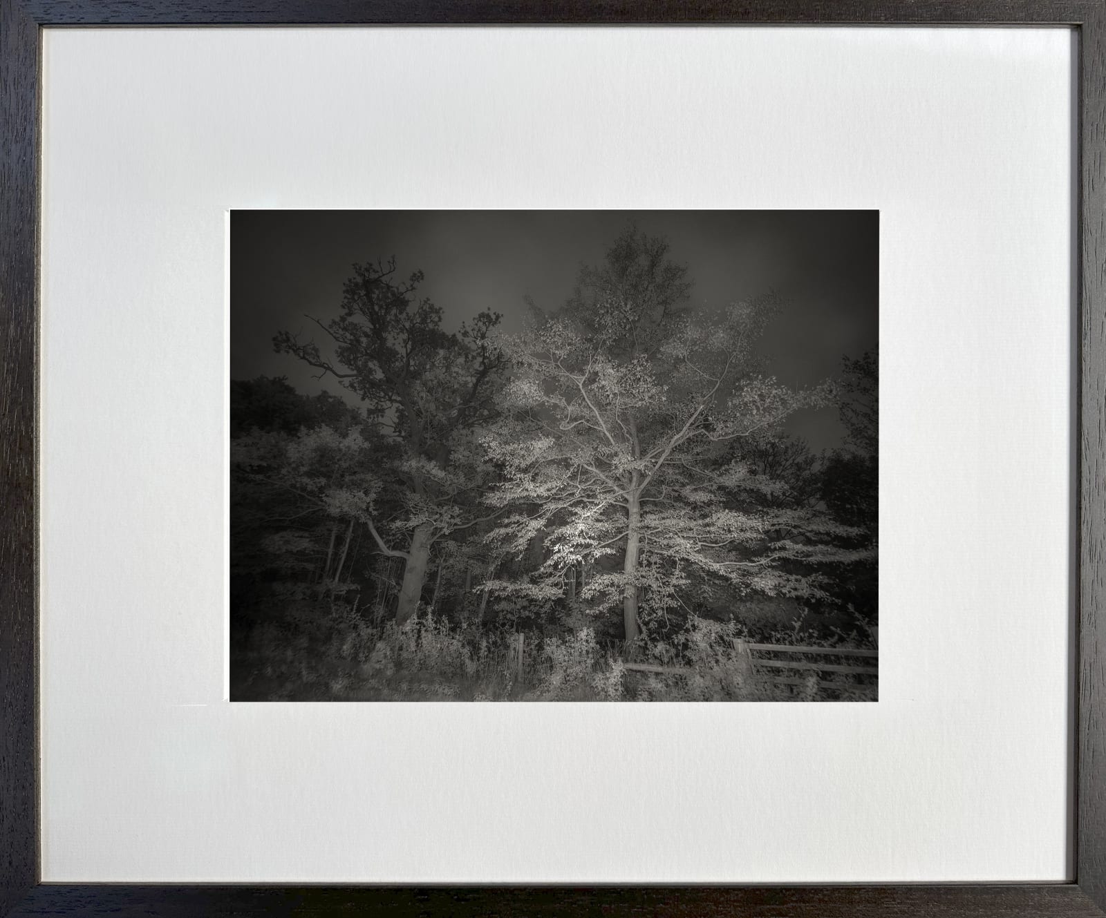 Bill Jackson, Imagine ... Pink Moon 8, 2022