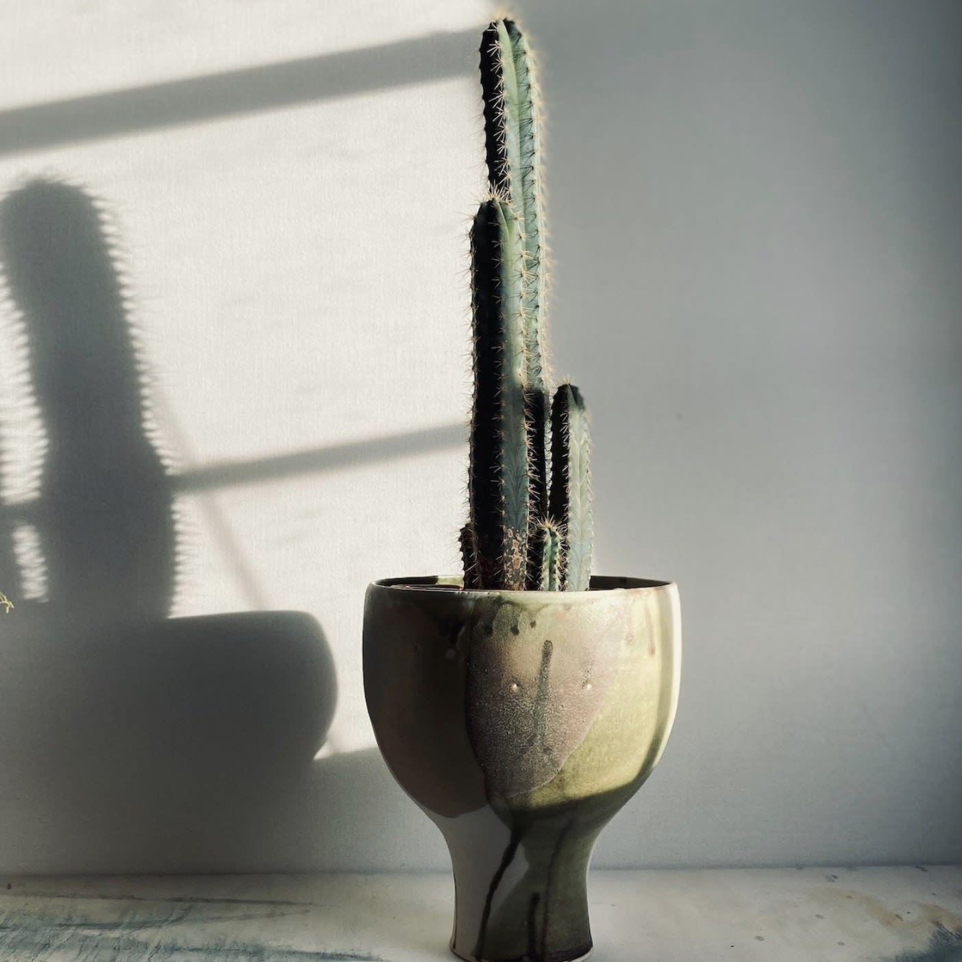 Laura Huston, Goblet Planter III, 2024