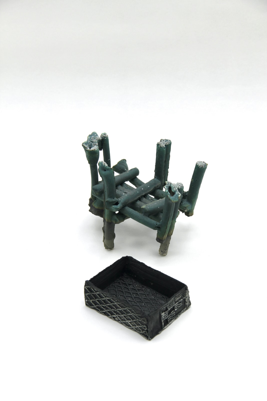 Ella Porter, 09-02, 2025