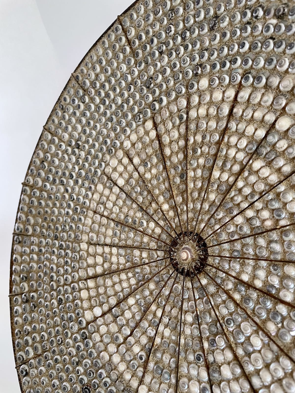 Carolyn Brookes-Davies, Steel Bound Wheel , 2025