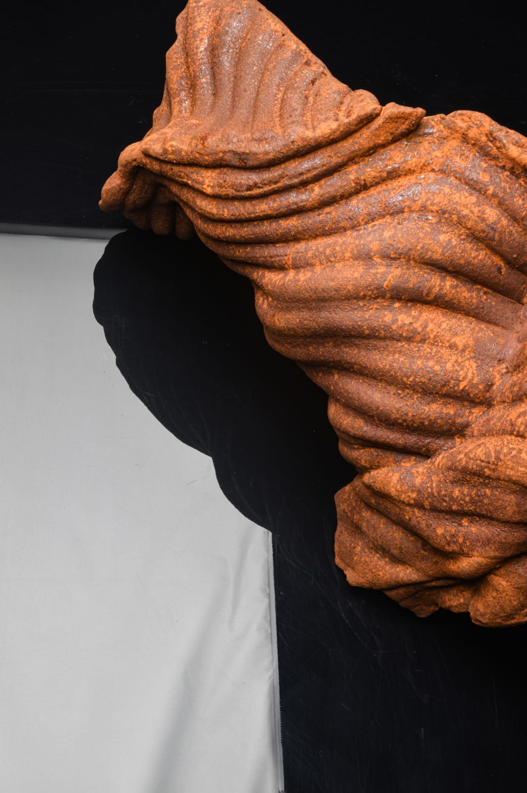 James Evans, Contorted Furrows, 2021