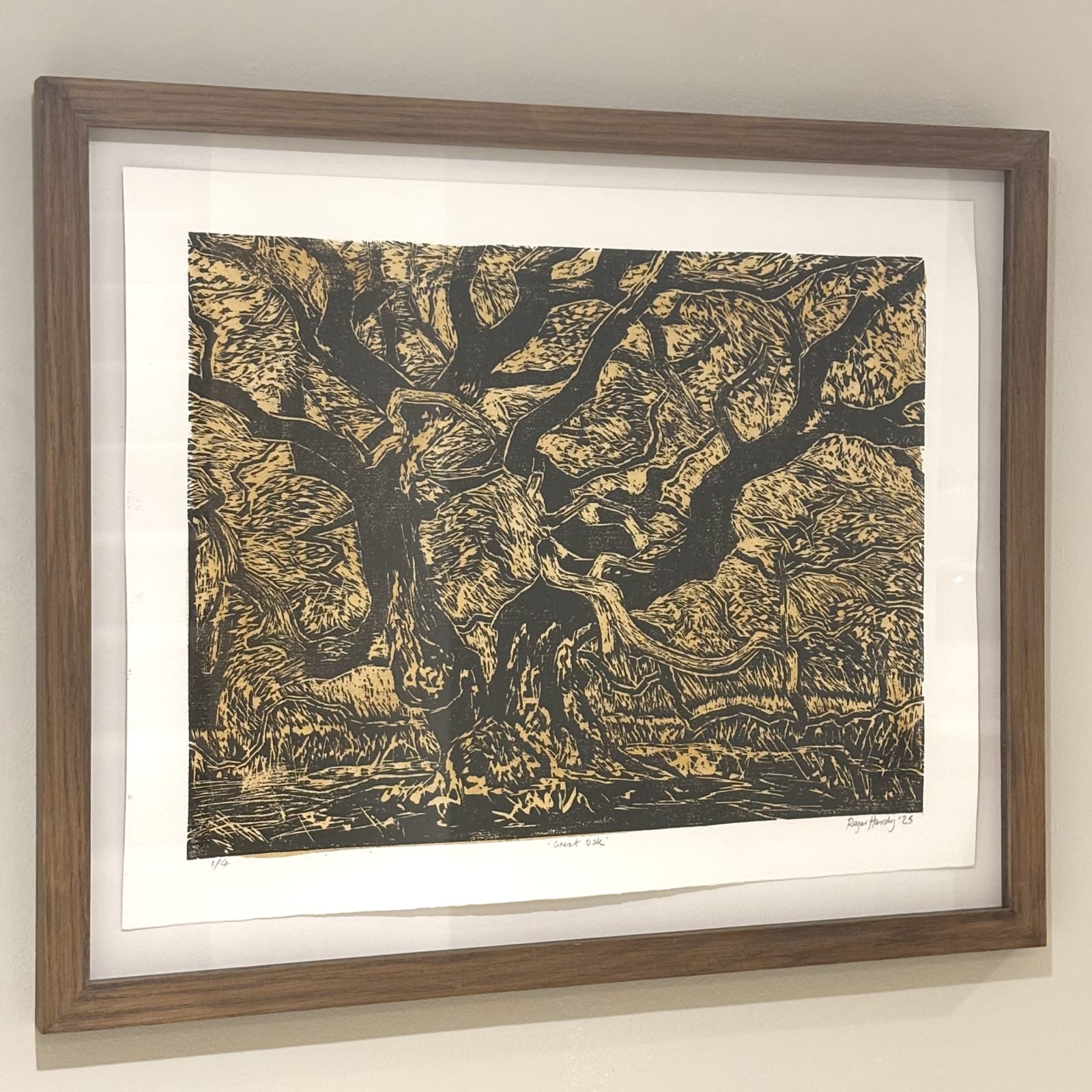 Roger Hardy, Giant Oak, Staverton, 2025