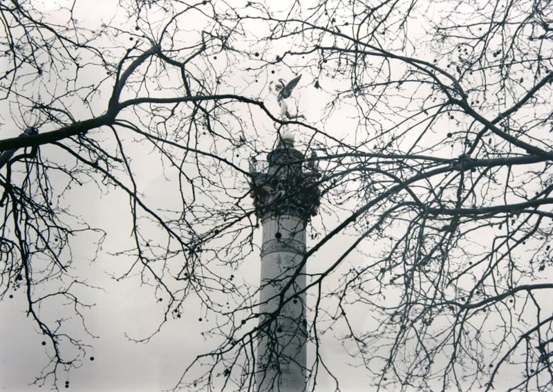 Thaddeus Holownia, Colonne de Juillet, Place de la Bastille, 11e (Monument a la Revolution de Juillet 1830), Les "Truis gloriouses", 2007.