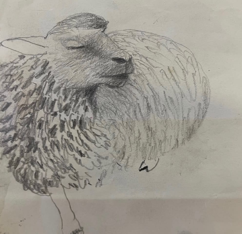 Mary Newcomb, Resting Ewe