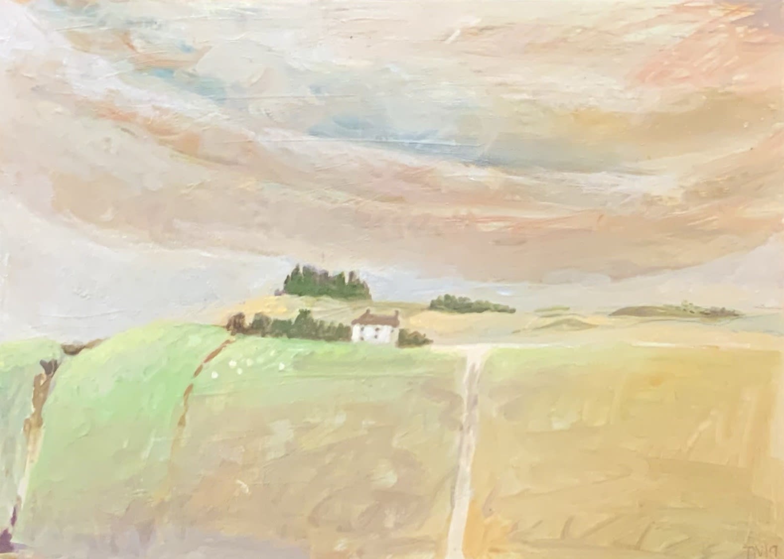 Tessa Newcomb, Passing Cumbria, 2019