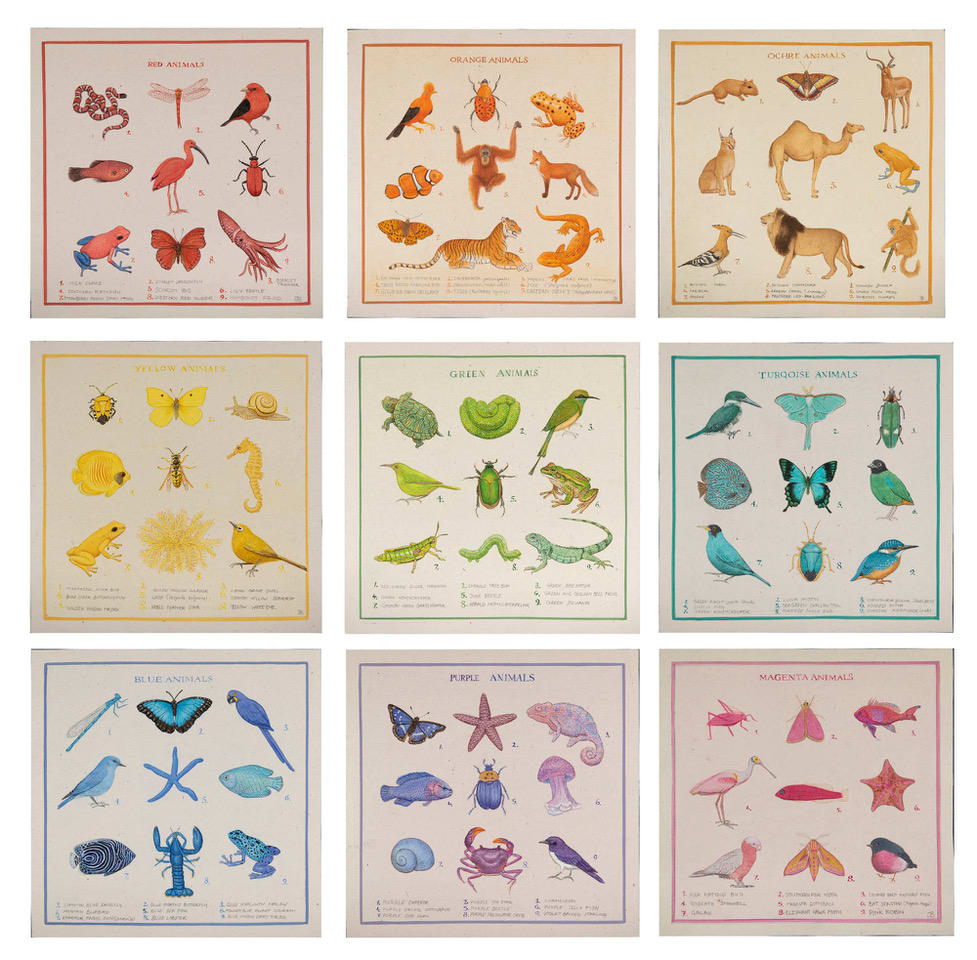 Jethro Buck, Animalia, 2025
