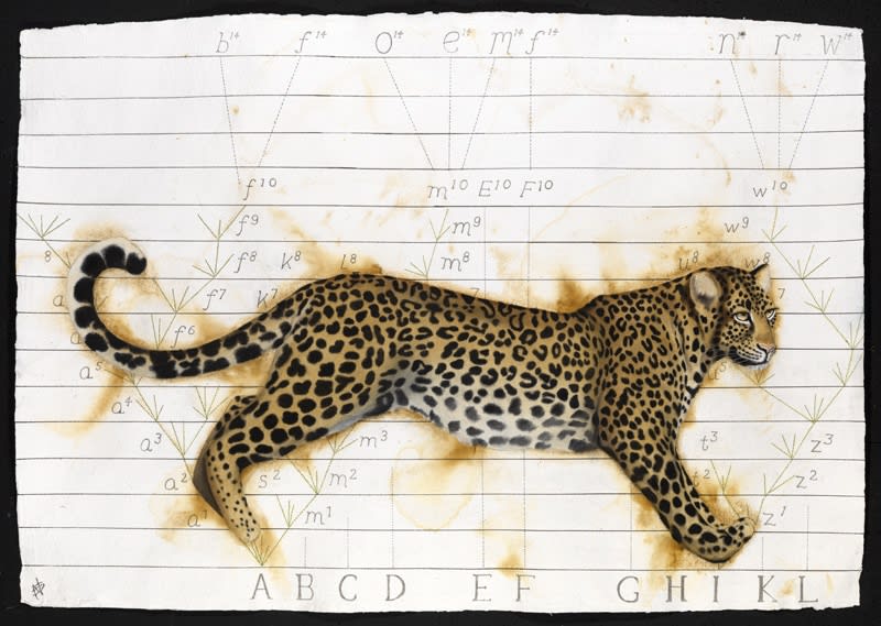 Darwin's Leopard, Watercolour, 37