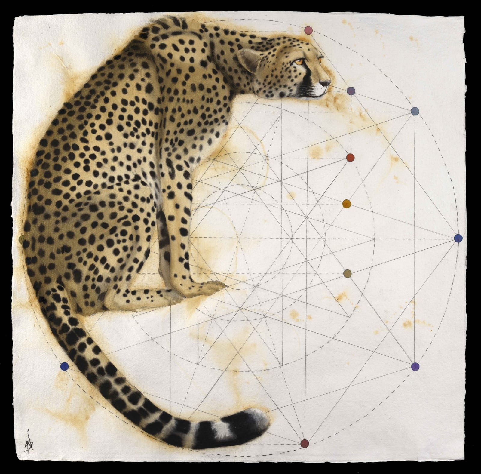Gothic - Cheetah, Watercolour, 37