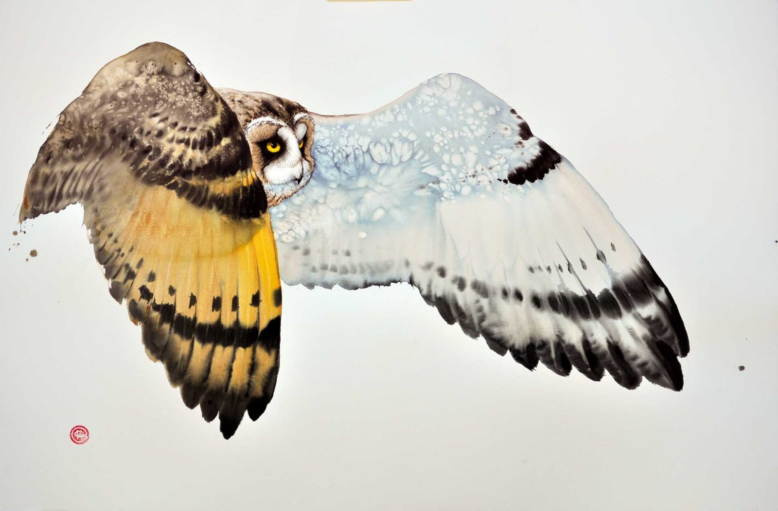 Short Eared Owl I Watercolour 39 1/2
