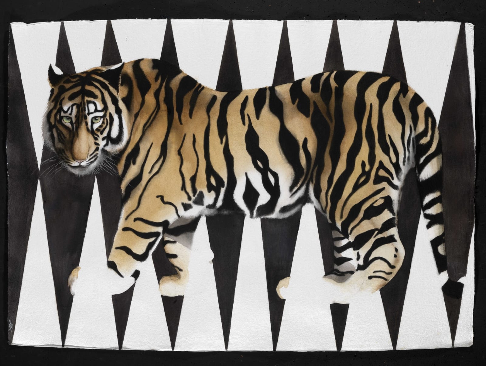 Vanishing Tiger, Watercolour, 37