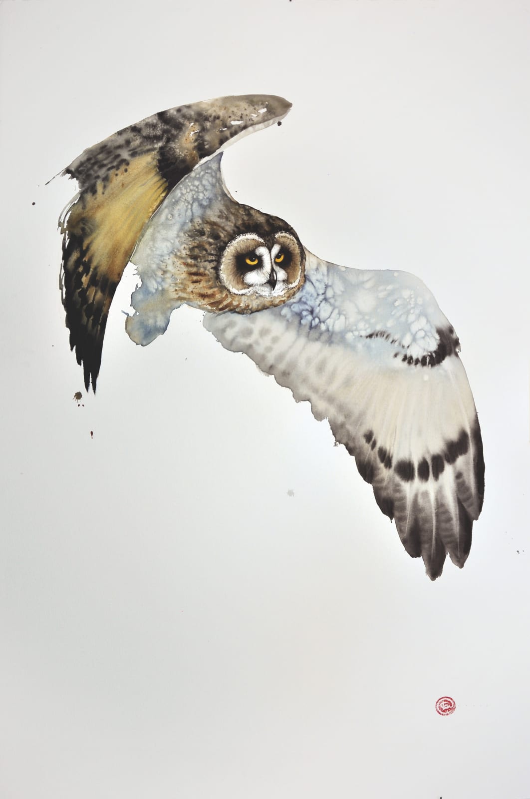 Short Eared Owl II Watercolour 59