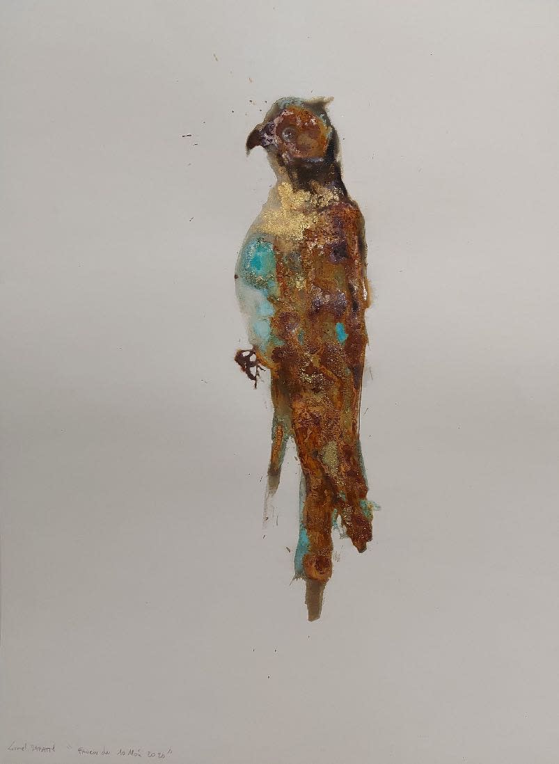 Lionel Sabatté, Faucon du 10 mai , 2020