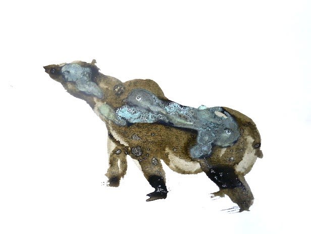 Lionel Sabatté, Ours du 8 janvier, 2018