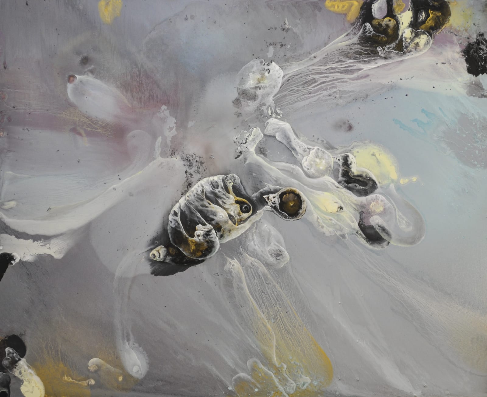 Lionel Sabatté, Mer Du Sud, 2016