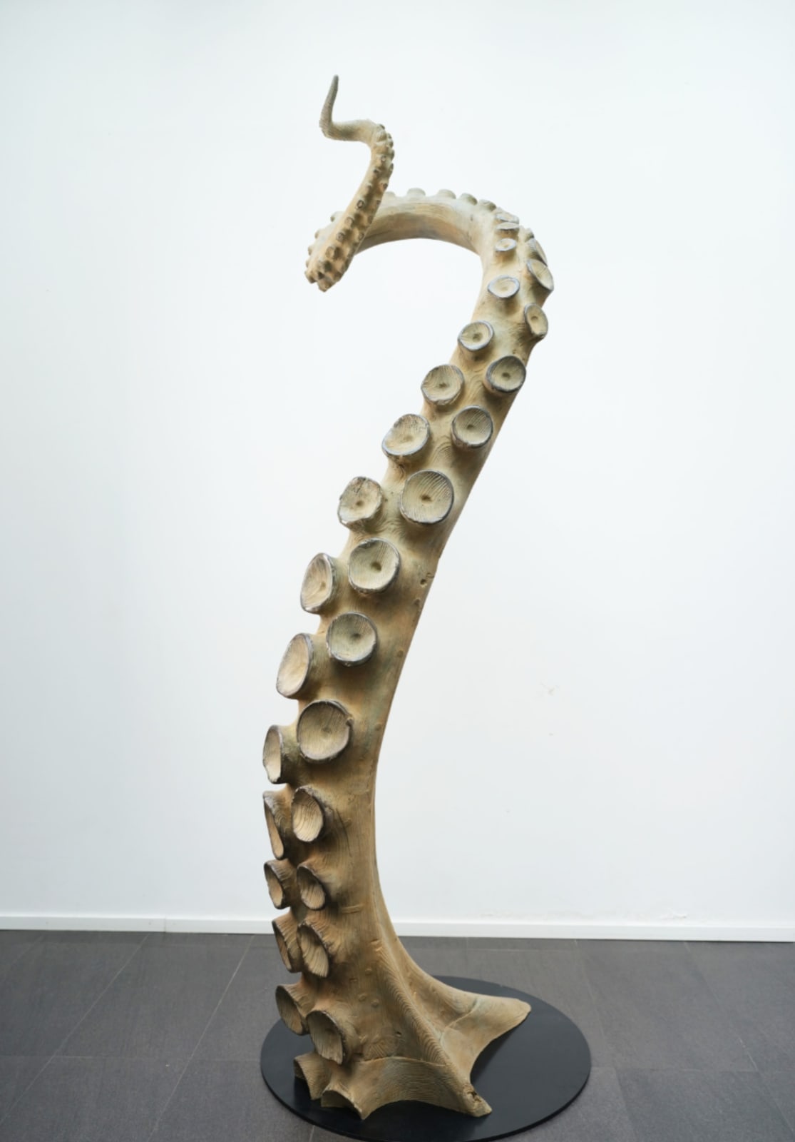 Quentin Garel, TENTACULE II, 2020