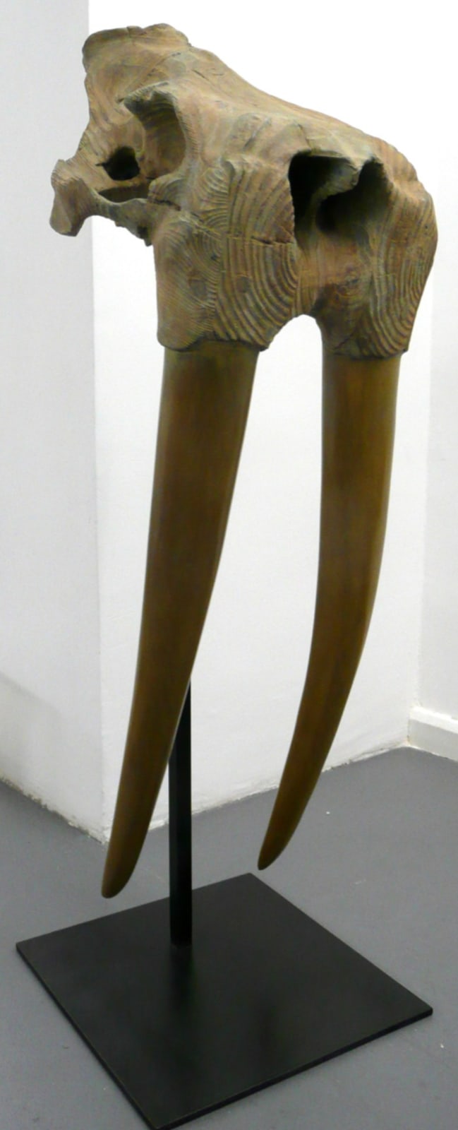 Quentin Garel, MORSE I (WALRUS), 2010