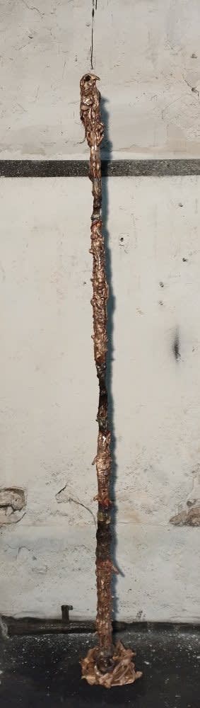 Lionel Sabatté, Champ d'oiseau du 04-03-2023, 2023