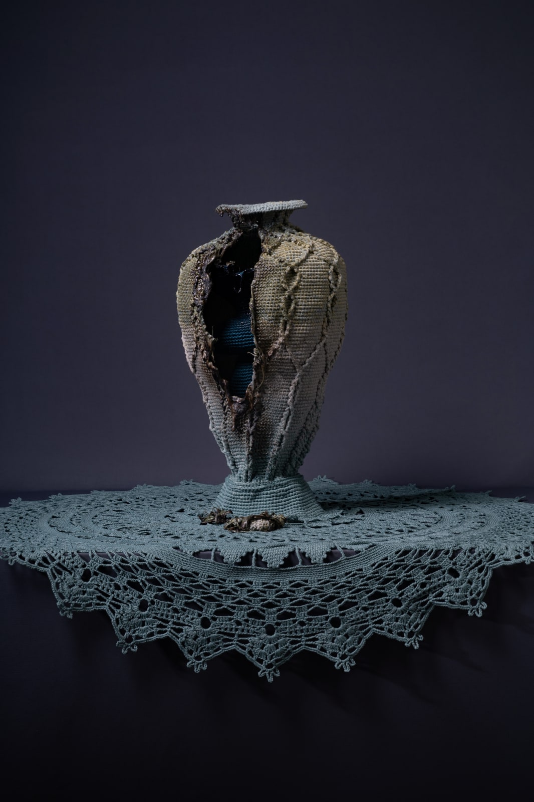 Kelly Limerick, Dignified , 2022