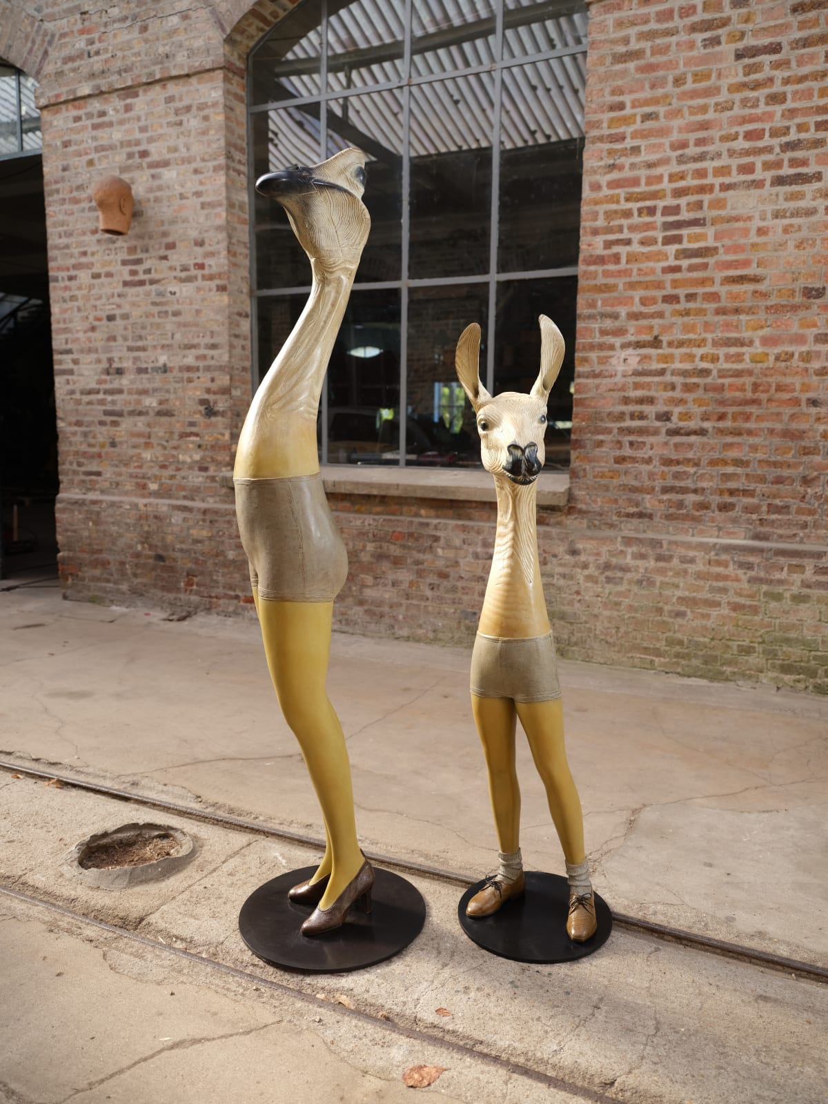 Quentin Garel, Homo Guanicoe, 2023