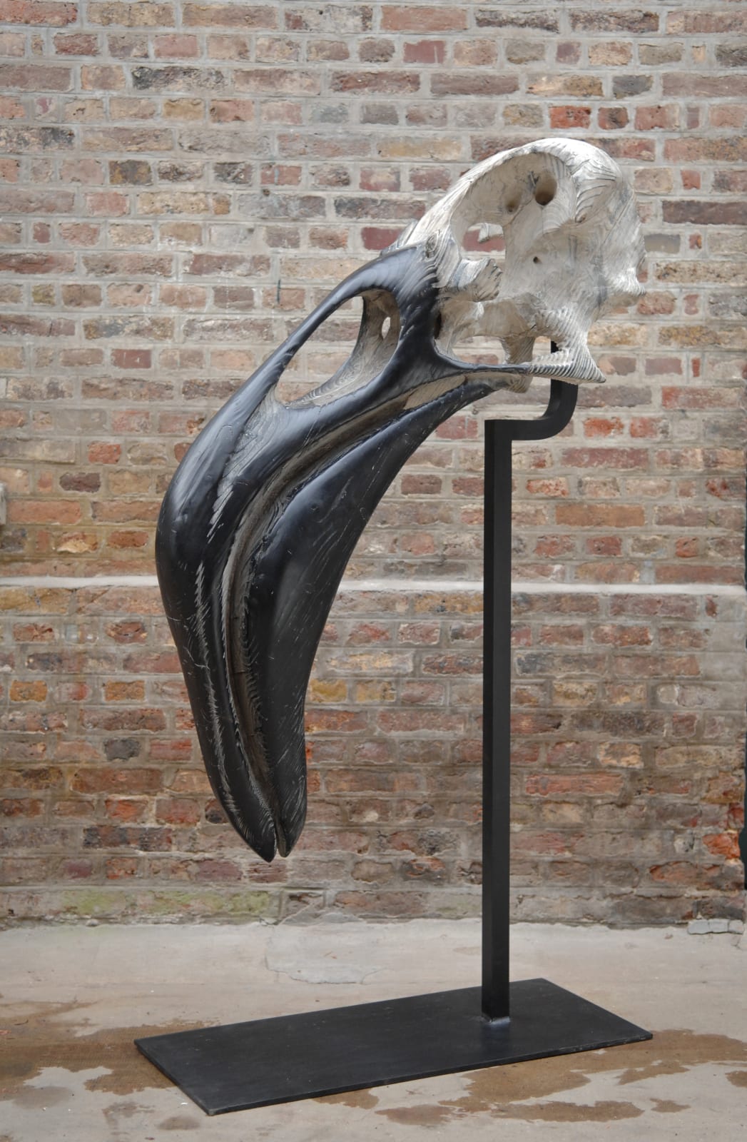Quentin Garel, Phoenicopterus I, 2013