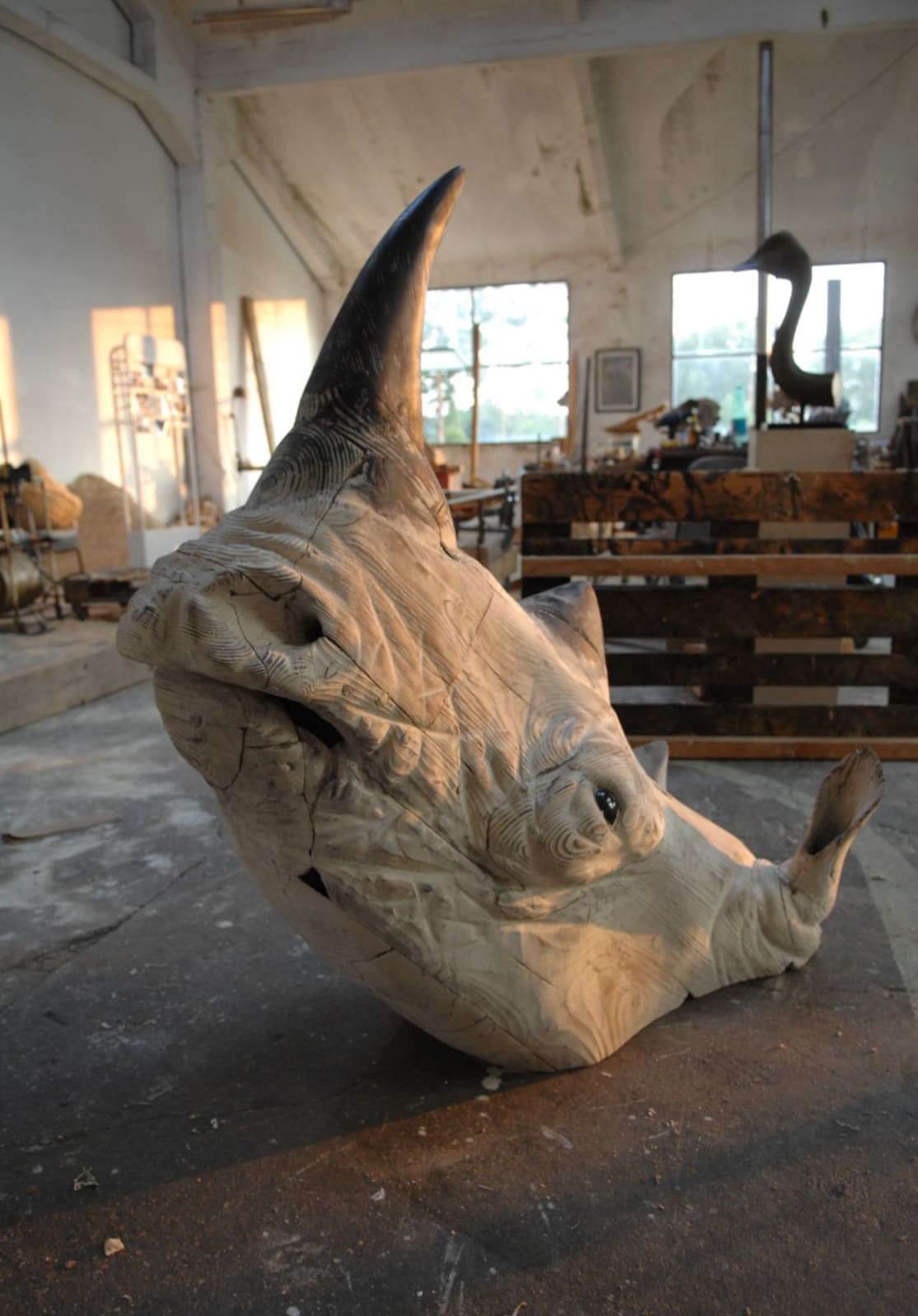Quentin Garel, RHINOCEROS, 2012