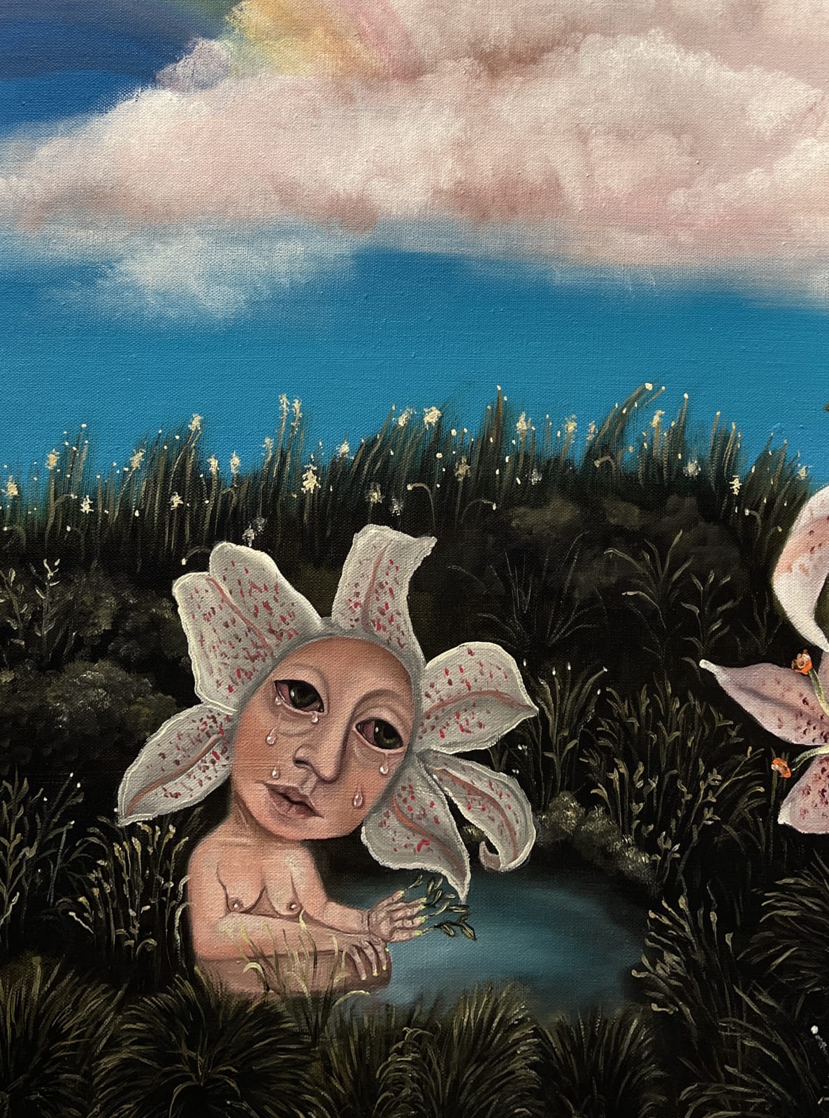 Claudia Koh, Vulnerability and Photosynthesis , 2022