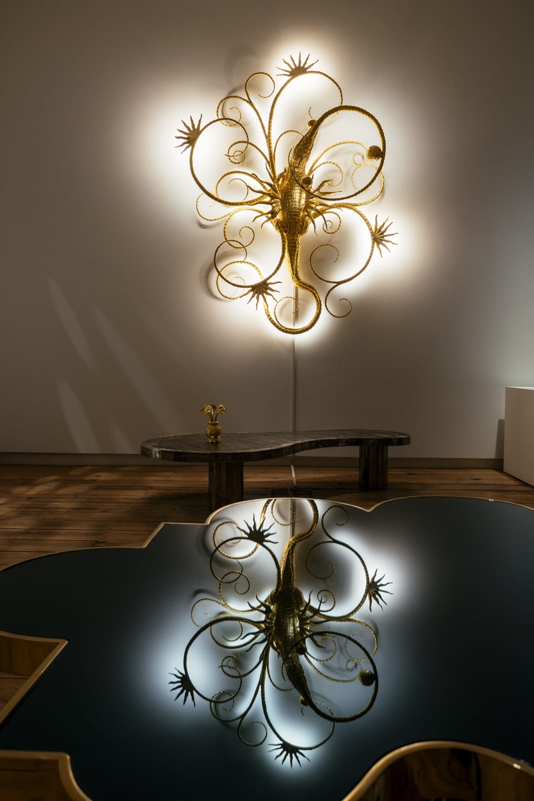 Hubert Le Gall, Astrocrokylus, 2022