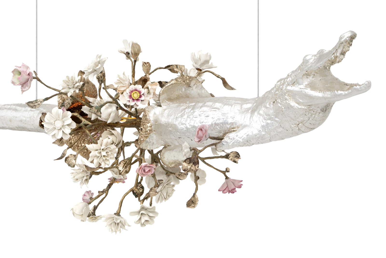 Hubert Le Gall, Chaos-crocodylus, 2023