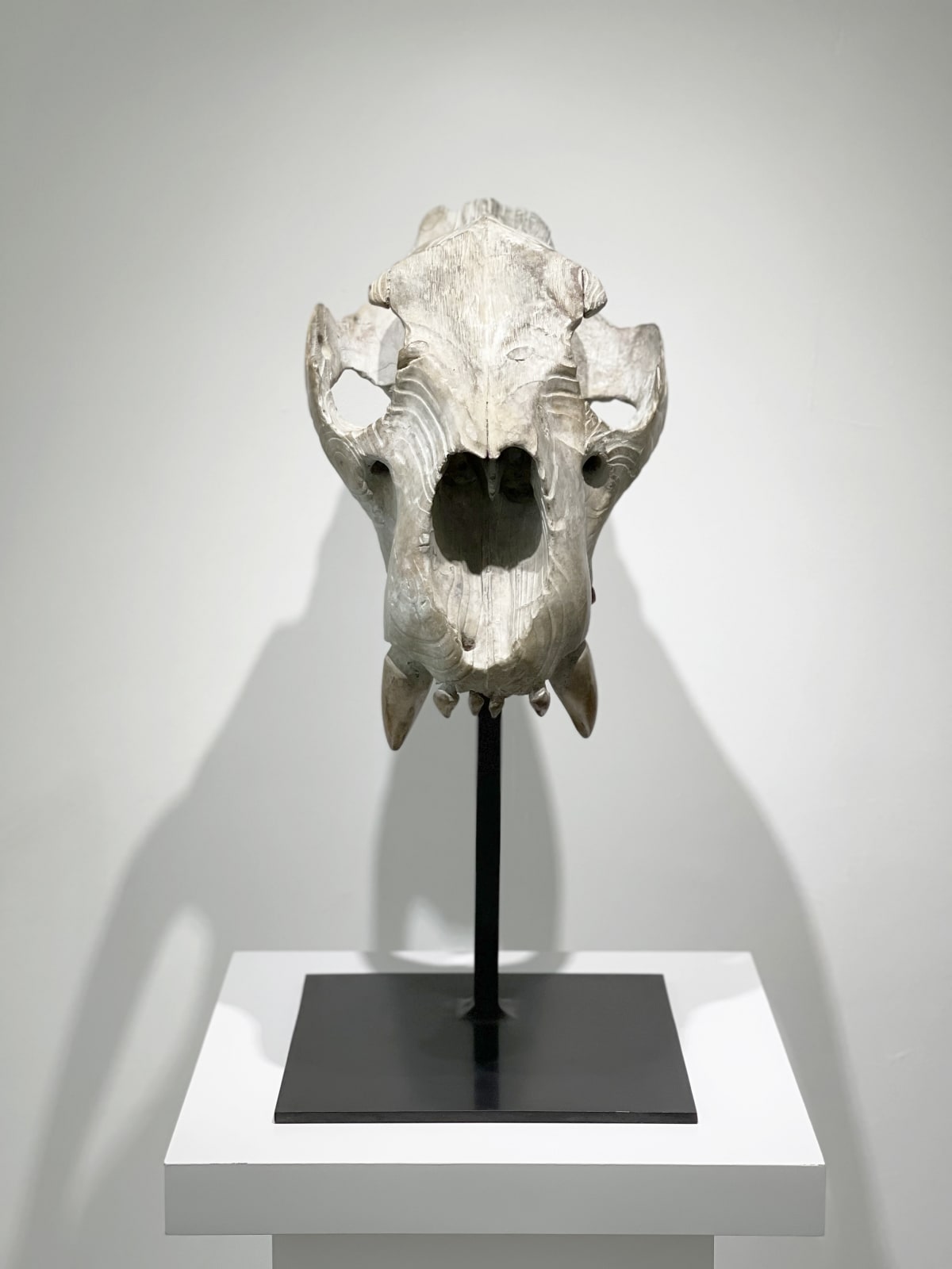 Quentin Garel, Skull of the Lion, 2012