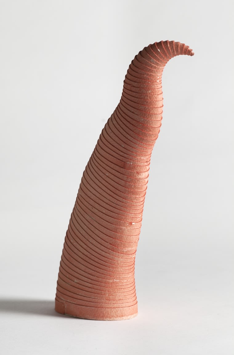 Leslie Bohnenkamp, Single Pink Flamingo Herd